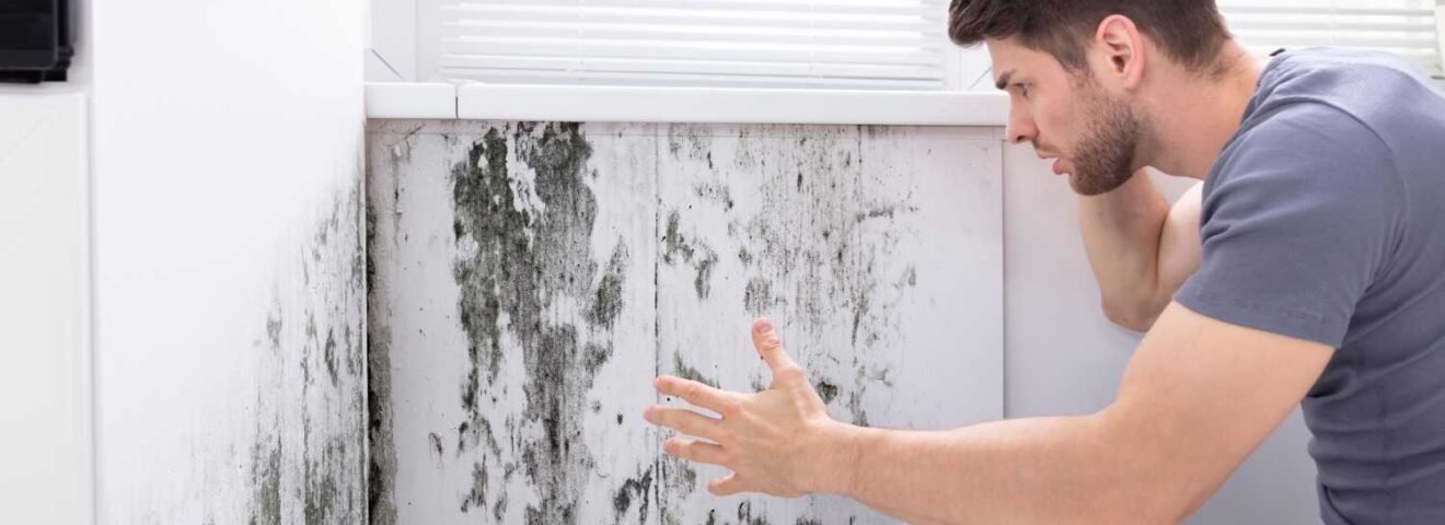 How to Get Rid of Mold in House Before It Spreads