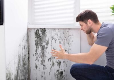 How to Get Rid of Mold in House Before It Spreads