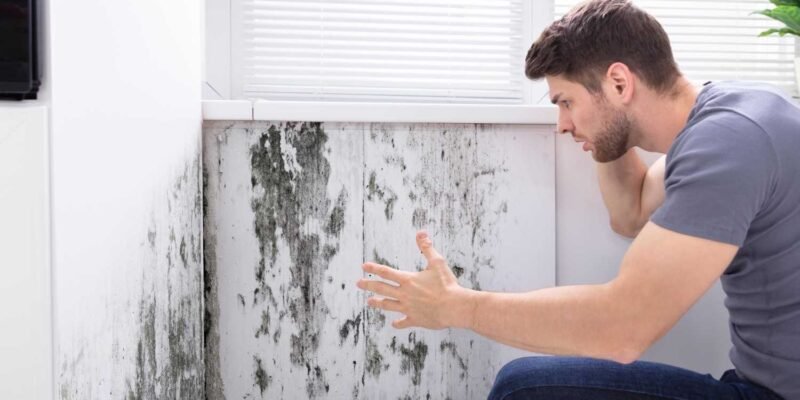 How to Get Rid of Mold in House Before It Spreads