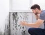 How to Get Rid of Mold in House Before It Spreads
