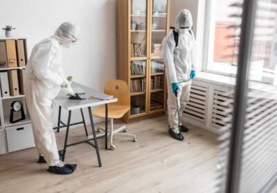 How to Keep Bugs Out of House Permanently: What Actually Works