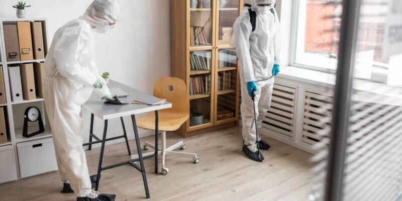 How to Keep Bugs Out of House Permanently: What Actually Works