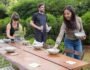 What to Tell a Lawn Service About Persistent Trouble Spots, including drainage, soil, shade, traffic, and recurring lawn concerns to discuss.